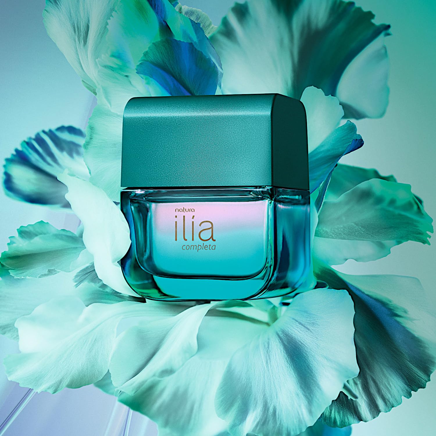 ilia completa