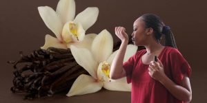 baunilha perfumes