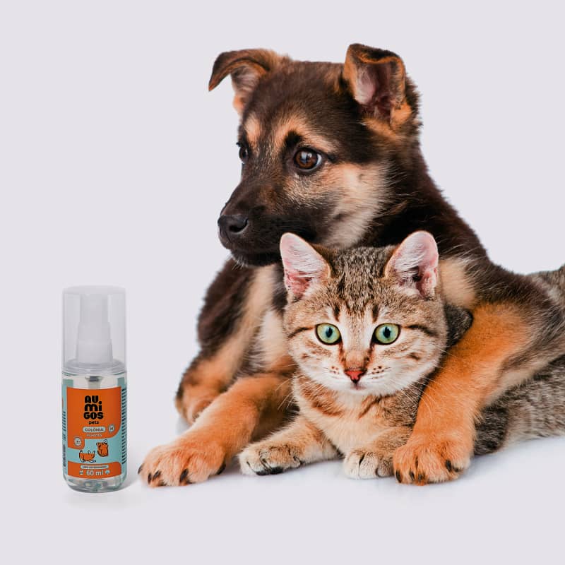 Colônia Au.Migos Pets; ao lado, um cão e um gato filhotes
